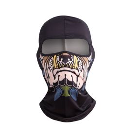 Spring And Summer Outdoor Motorcycle Full Face Windproof Dust Bib Men And Women (Option: 6style)