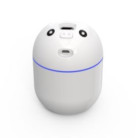 Household Portable Hand-Cleaning Atomizing Humidifier (Option: White-USB)