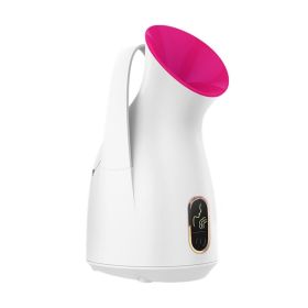 Household Nano Spray Face Steamer (Option: White-CN)